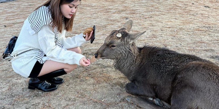 Ngắm nghía công viên Nara